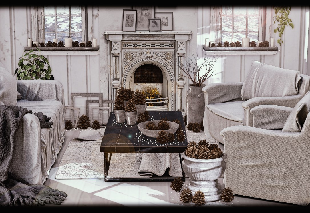 DISORDERLY - Light Pine