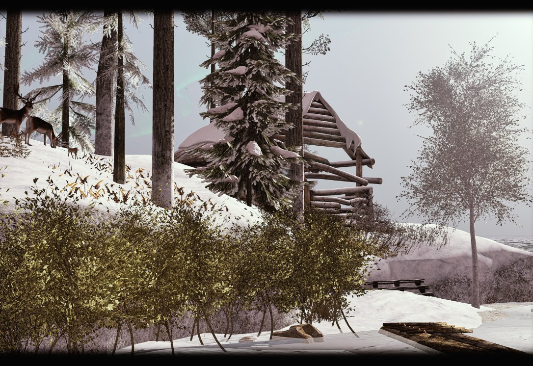 Little Branch - Zelkova Serrata Animated - 4Seasons