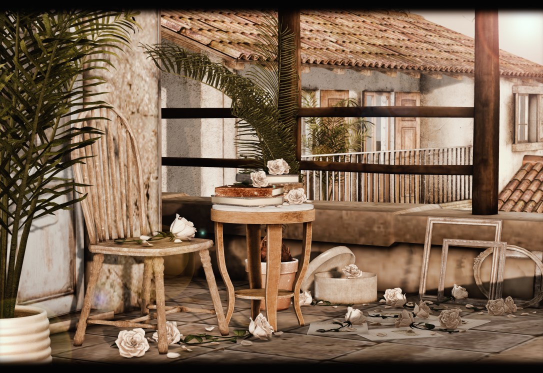 DISORDERLY - Rosy Vintage 2