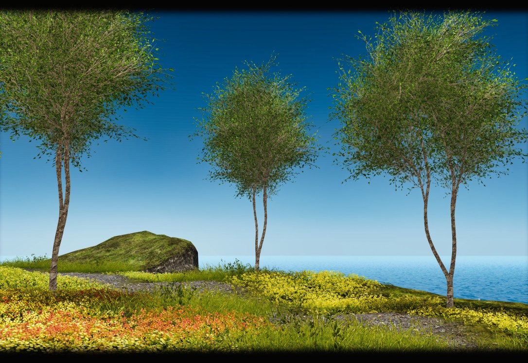 Little Branch - Zelkova Serrata