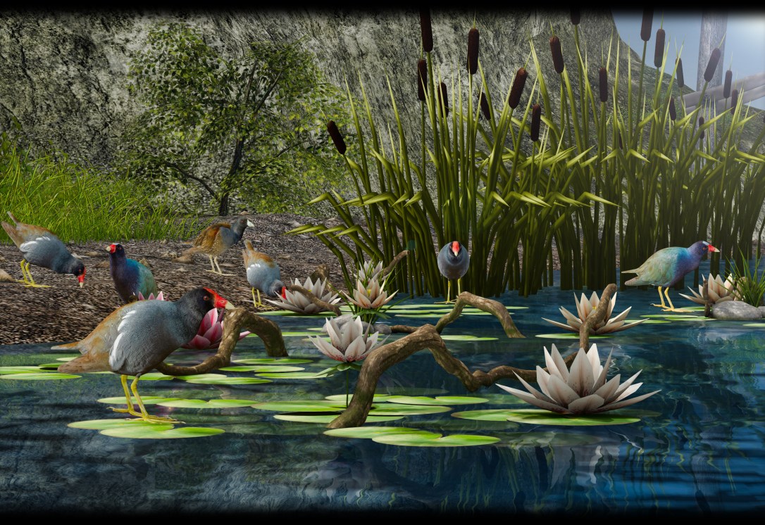 TLC - Gallinule Pond Set