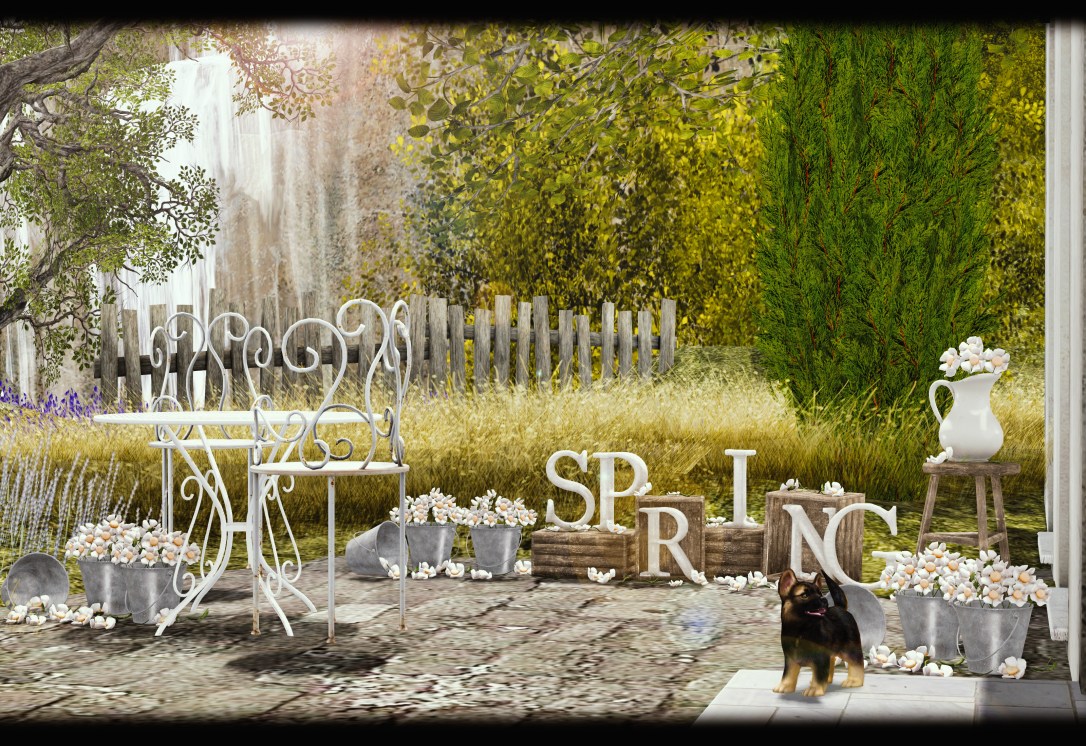 DISORDERLY - Wood be Spring