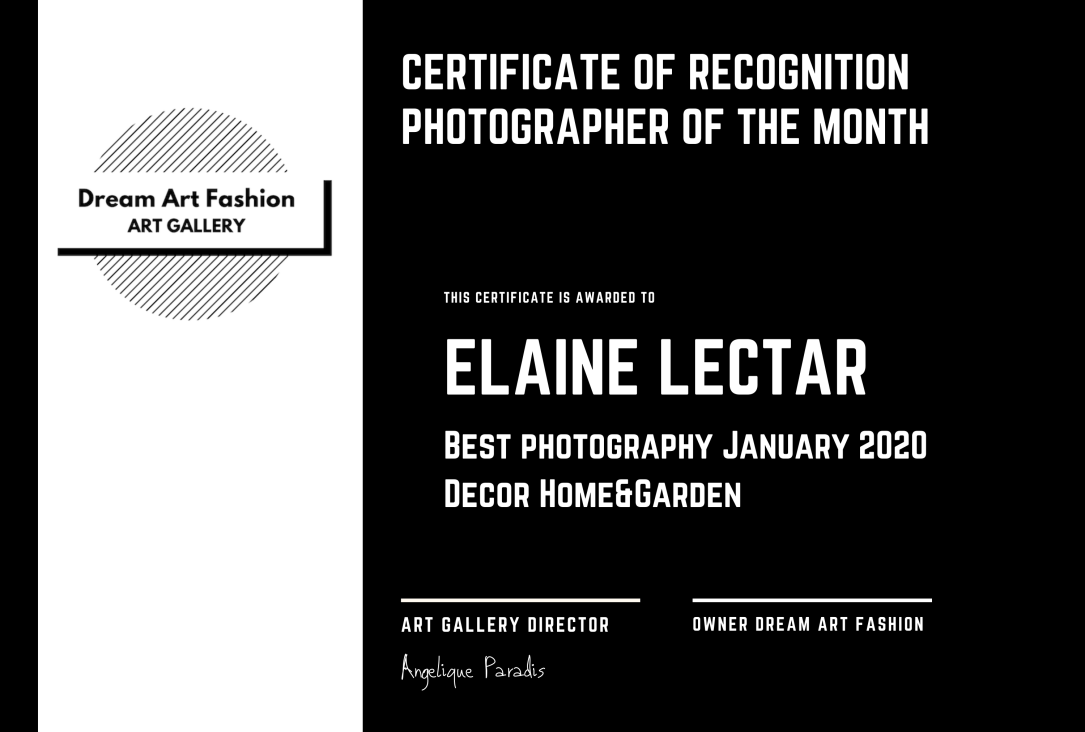 ELAINE LECTAR