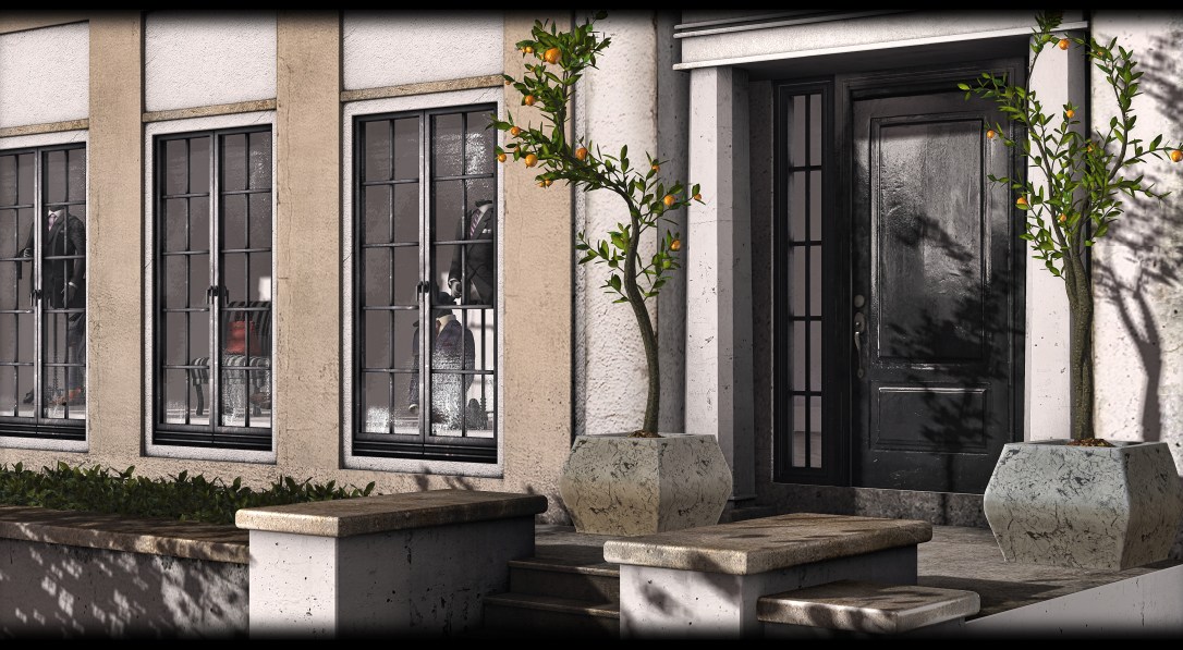 Little Branch - Orange Tree - Potted