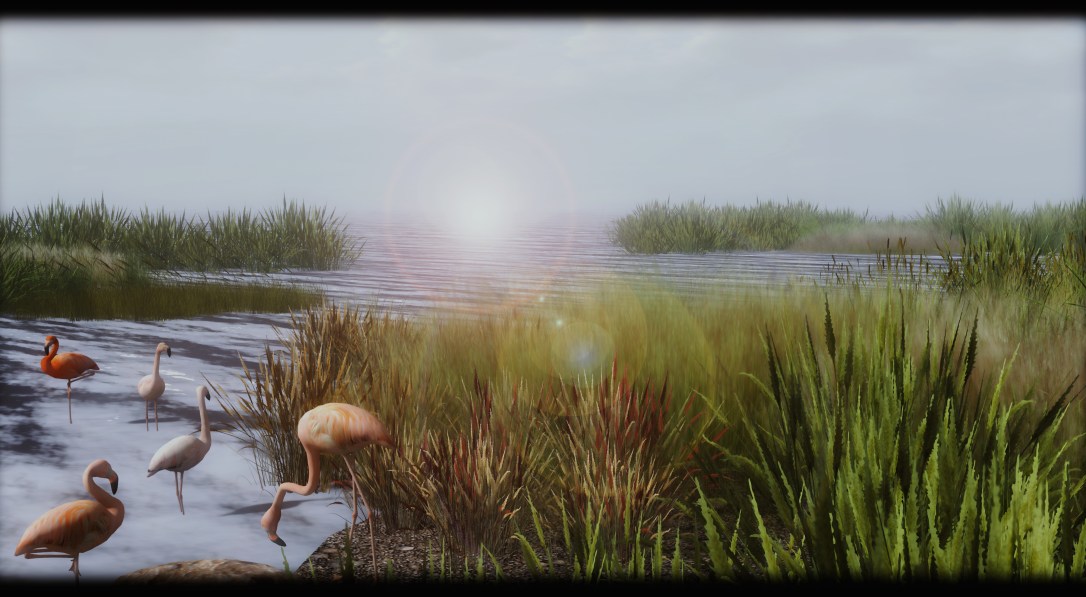 │T│L│C│ - Flamingos