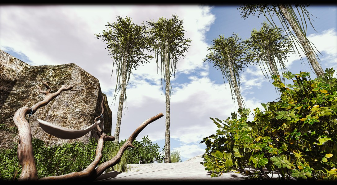 Little Branch - Agarwood Tree