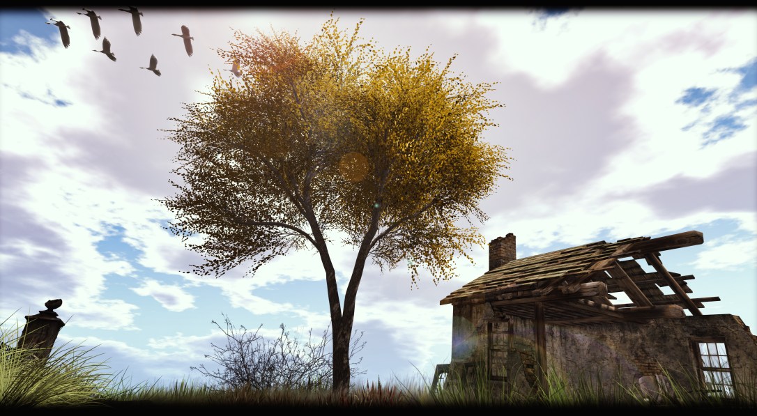 Little Branch - Walnut Tree