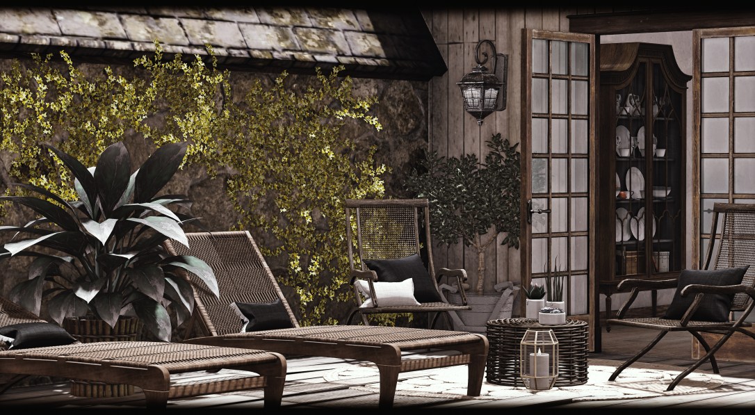 MudHoney - Paxton Set