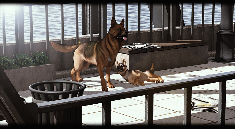 Rezz Room - German Shepherd