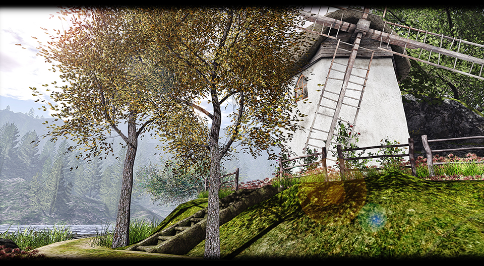 Little Branch – Wild Oak Tree