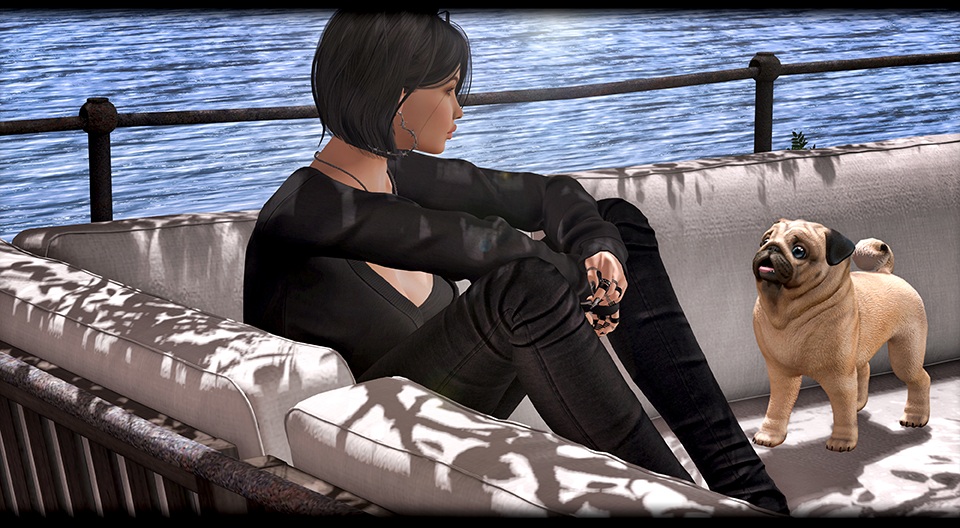 [Rezz Room] - Pug Adult