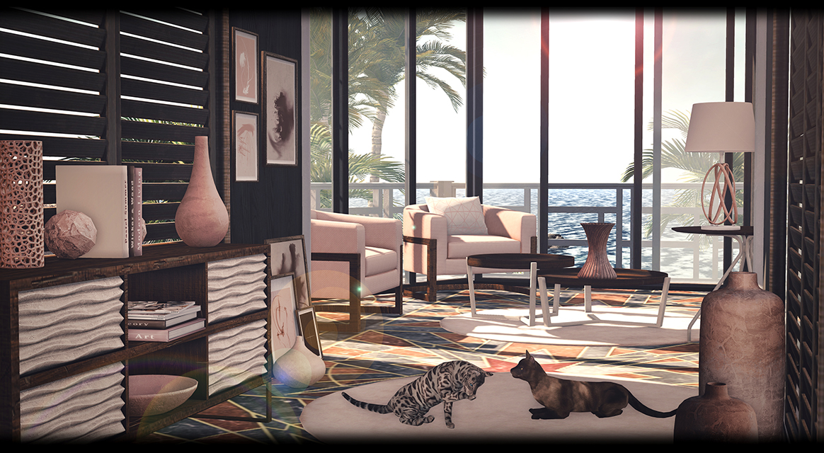 DISORDERLY - Modern Living