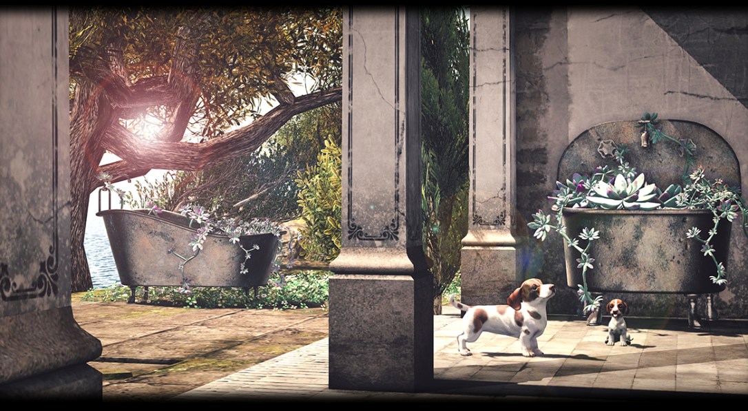 [Rezz Room] - Dachshund